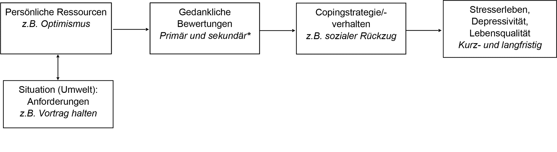 Transaktionales Stressmodell
