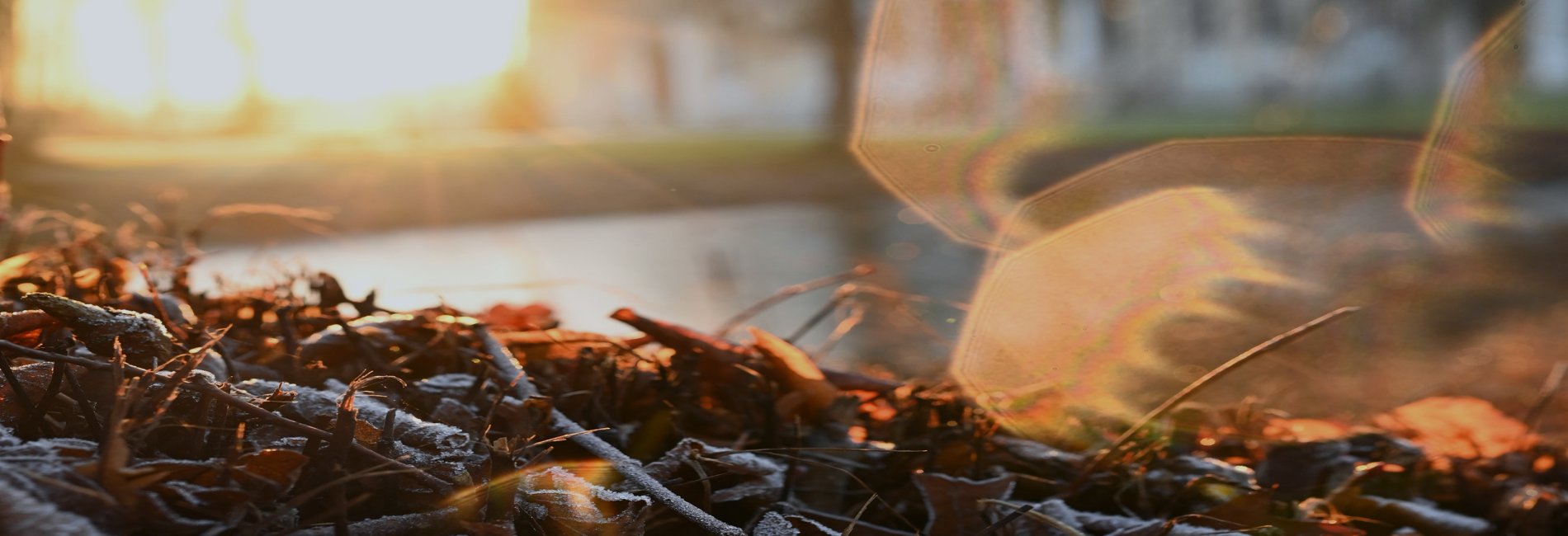 Silvester 2021 & Neujahr 2022