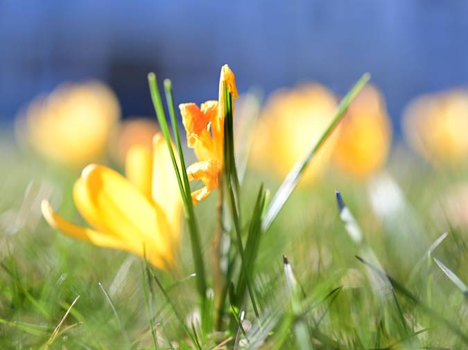 Das Zusammenspiel von Natur und Kultur